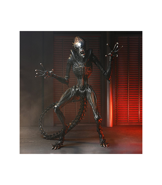 ALIEN ROMULUS figurine ultimate SCORCHED XENOMORPH – Image 3