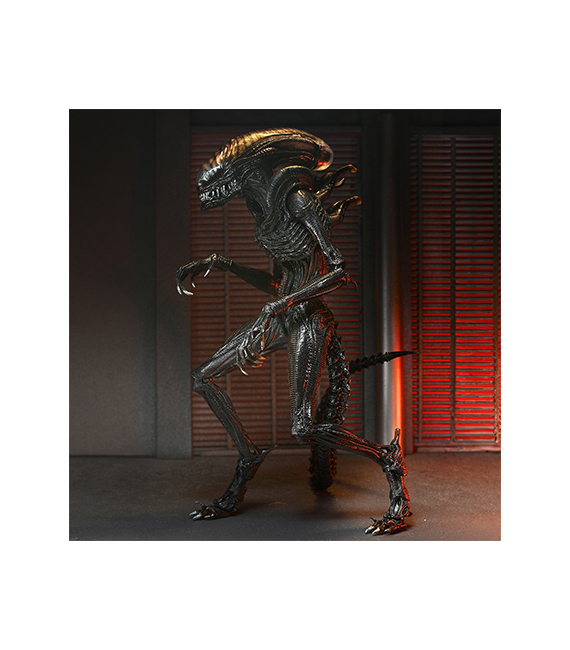 ALIEN ROMULUS figurine ultimate SCORCHED XENOMORPH – Image 5