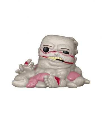 FUNKO POP It welcome to Derry PICKLE DAD 1857