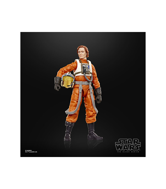 STAR WARS The Mandalorian & Grogu figurine The Black Series COLONEL WARD – Image 4