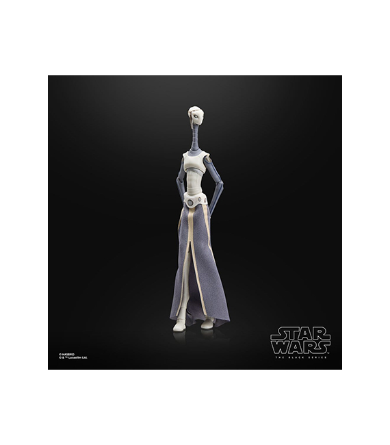 STAR WARS AOTC figurine The Black Series TAUN WE – Image 5